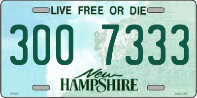 NH license plate 3007333