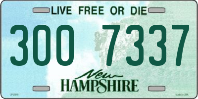 NH license plate 3007337