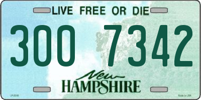 NH license plate 3007342