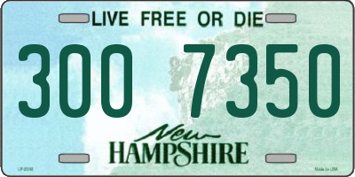 NH license plate 3007350