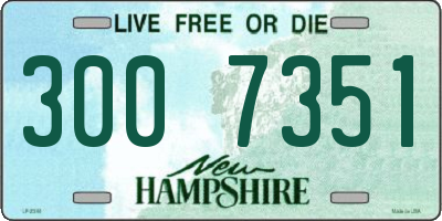 NH license plate 3007351