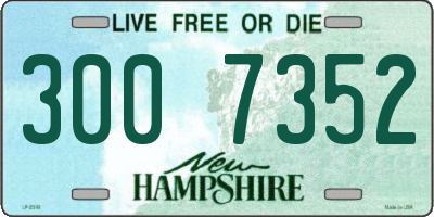 NH license plate 3007352