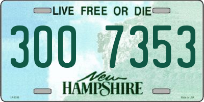 NH license plate 3007353