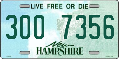 NH license plate 3007356