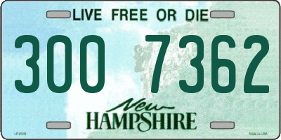 NH license plate 3007362