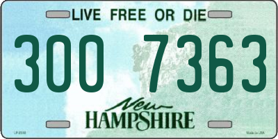 NH license plate 3007363