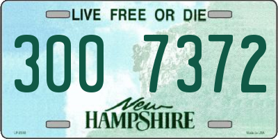 NH license plate 3007372