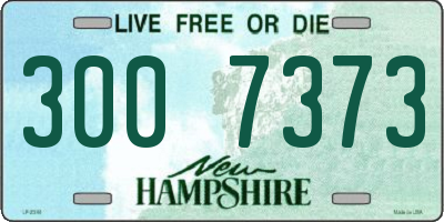 NH license plate 3007373