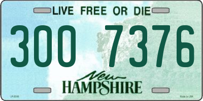NH license plate 3007376