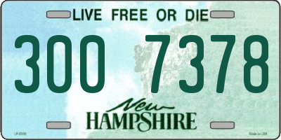 NH license plate 3007378
