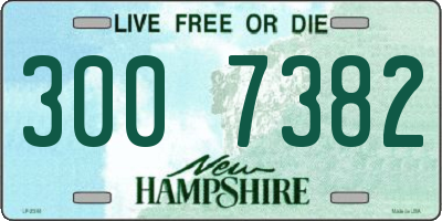 NH license plate 3007382