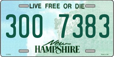 NH license plate 3007383