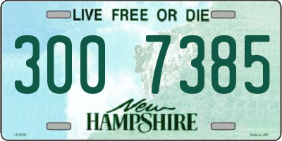 NH license plate 3007385