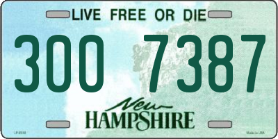 NH license plate 3007387