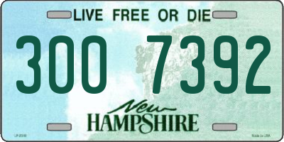 NH license plate 3007392