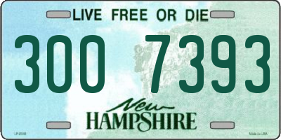 NH license plate 3007393