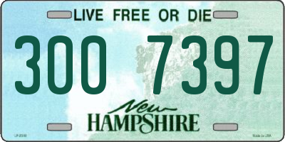 NH license plate 3007397
