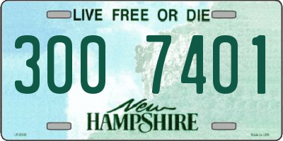 NH license plate 3007401