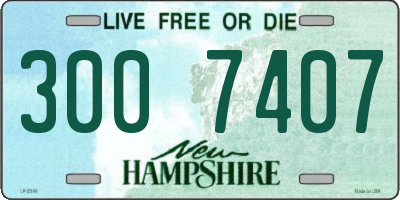 NH license plate 3007407