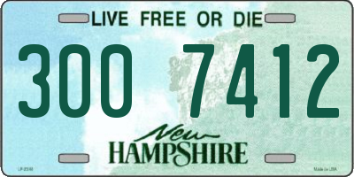 NH license plate 3007412