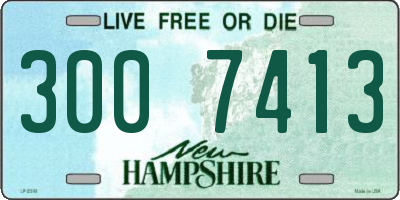 NH license plate 3007413