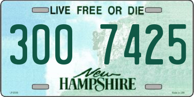 NH license plate 3007425