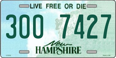 NH license plate 3007427