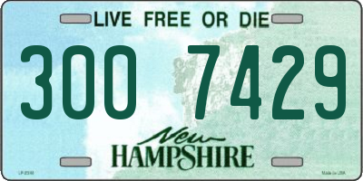 NH license plate 3007429