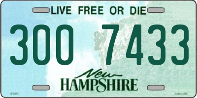 NH license plate 3007433