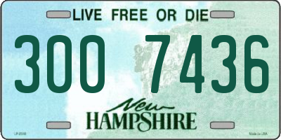 NH license plate 3007436