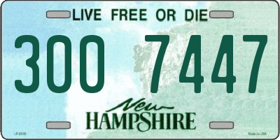 NH license plate 3007447