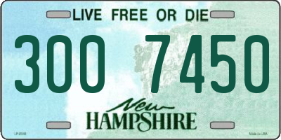 NH license plate 3007450
