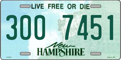 NH license plate 3007451