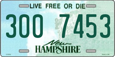 NH license plate 3007453