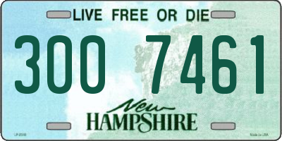 NH license plate 3007461