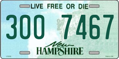 NH license plate 3007467
