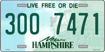 NH license plate 3007471