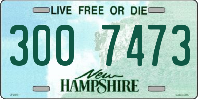 NH license plate 3007473