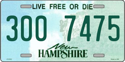NH license plate 3007475