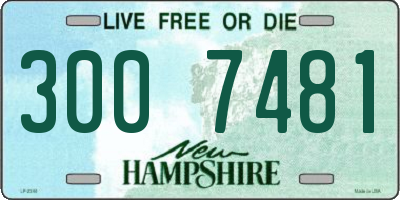 NH license plate 3007481