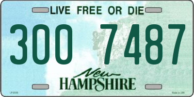 NH license plate 3007487