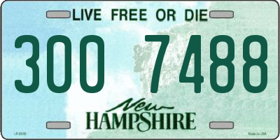 NH license plate 3007488