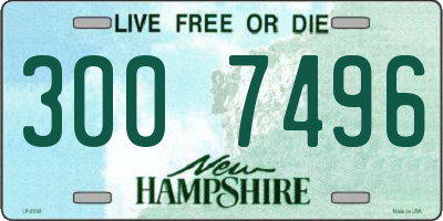 NH license plate 3007496