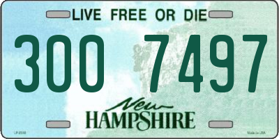 NH license plate 3007497