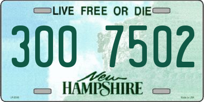 NH license plate 3007502