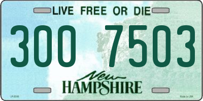 NH license plate 3007503