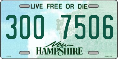 NH license plate 3007506