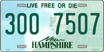 NH license plate 3007507