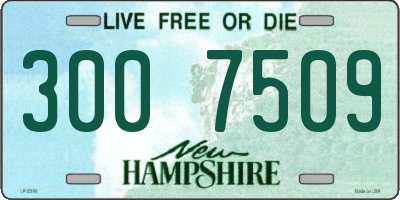 NH license plate 3007509