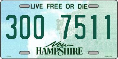 NH license plate 3007511